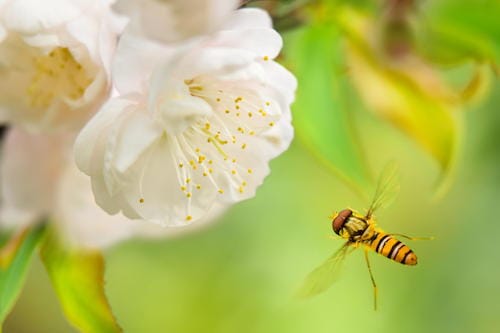 Image showing the beauty in the creation of God.
