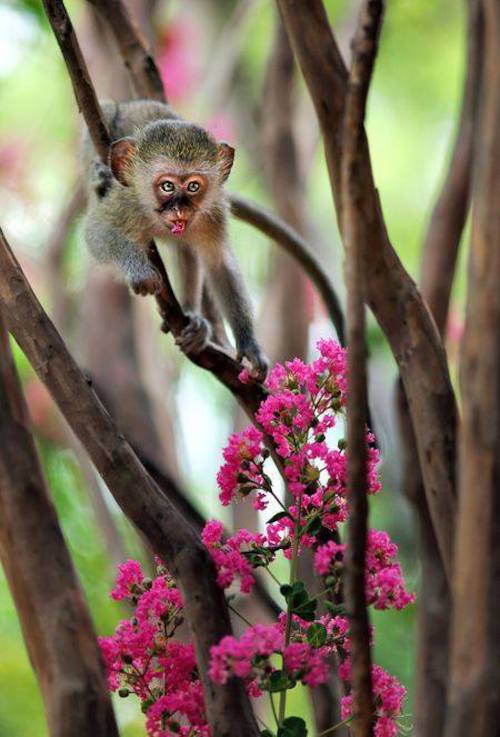 Image showing the beauty in the creation of God.