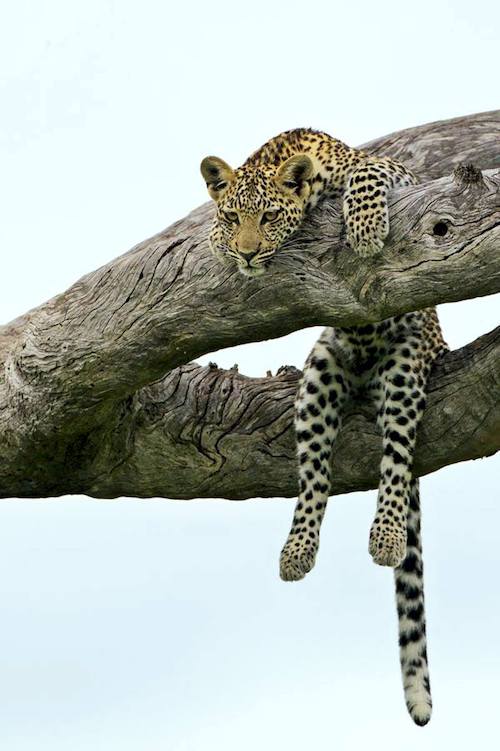 Image showing the beauty in the creation of God.