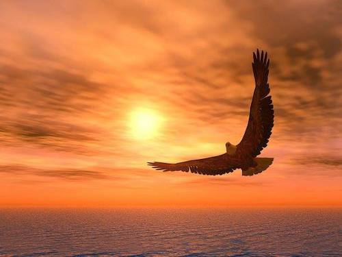Image showing the beauty in the creation of God.