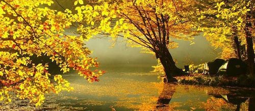 Image showing the beauty in the creation of God.
