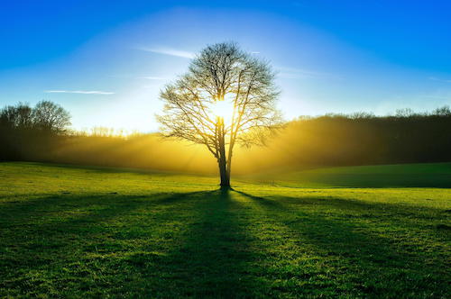 Image showing the beauty in the creation of God.