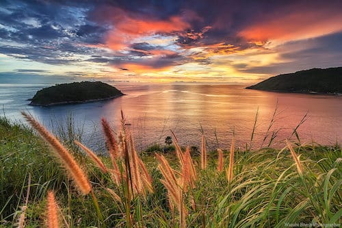 Image showing the beauty in the creation of God.