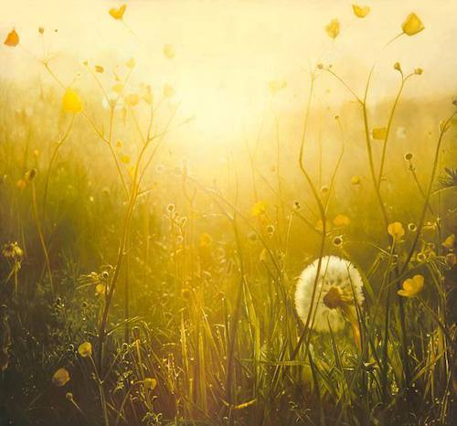 Image showing the beauty in the creation of God.
