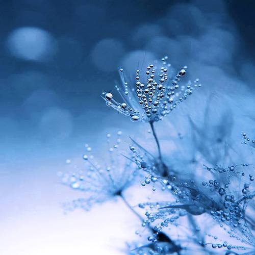 Image showing the beauty in the creation of God.