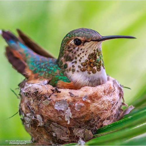 Image showing the beauty in the creation of God.