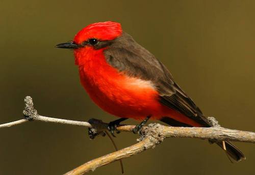 Image showing the beauty in the creation of God.