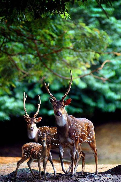 Image showing the beauty in the creation of God.