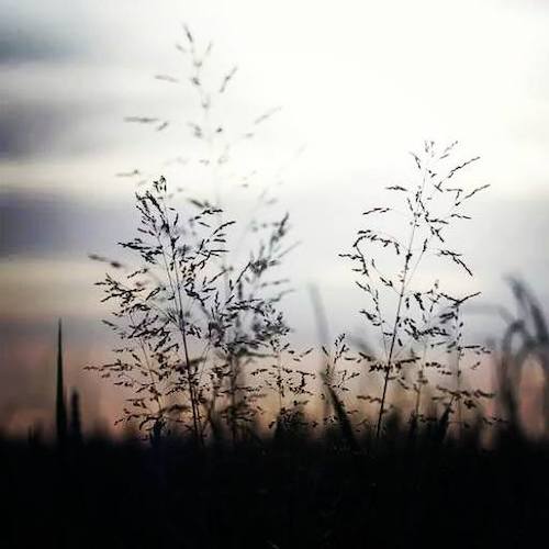 Image showing the beauty in the creation of God.