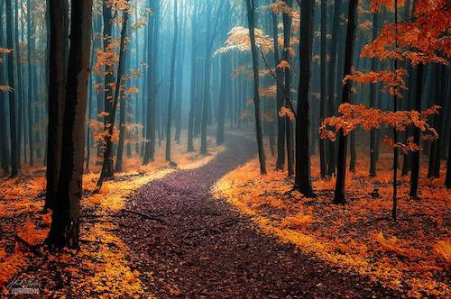 Image showing the beauty in the creation of God.
