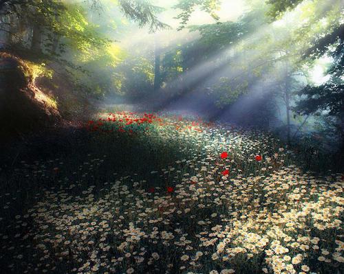 Image showing the beauty in the creation of God.