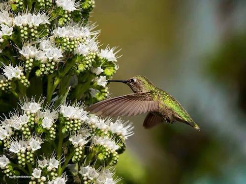 Image showing the beauty in the creation of God.