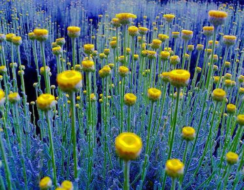 Image showing the beauty in the creation of God.