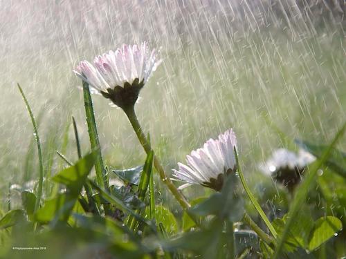 Image showing the beauty in the creation of God.