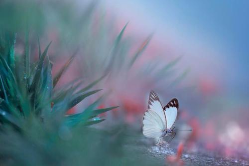 Image showing the beauty in the creation of God.