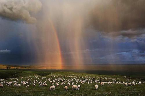 Image showing the beauty in the creation of God.