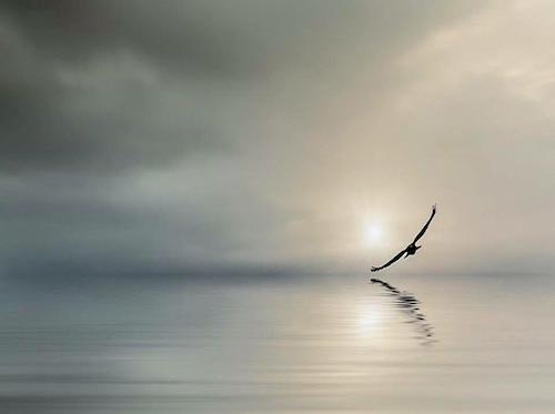 Image showing the beauty in the creation of God.