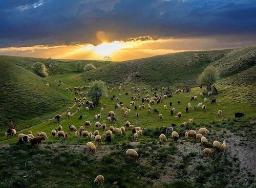 Image showing the beauty in the creation of God.