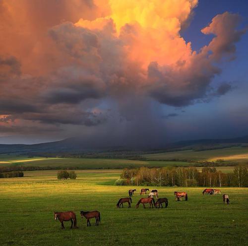 Image showing the beauty in the creation of God.