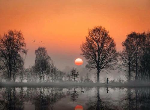 Image showing the beauty in the creation of God.