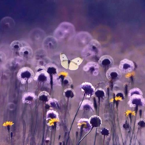 Image showing the beauty in the creation of God.