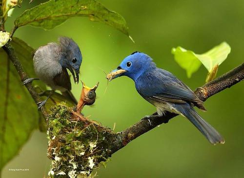 Image showing the beauty in the creation of God.