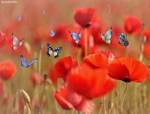 Image showing the beauty in the creation of God.