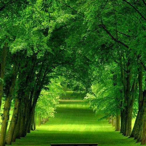 Image showing the beauty in the creation of God.