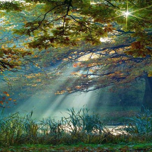Image showing the beauty in the creation of God.