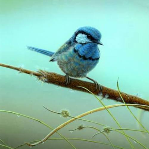 Image showing the beauty in the creation of God.