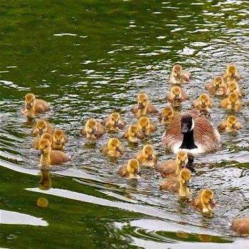 Image showing the beauty in the creation of God.