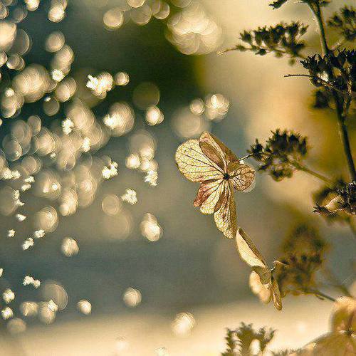 Image showing the beauty in the creation of God.