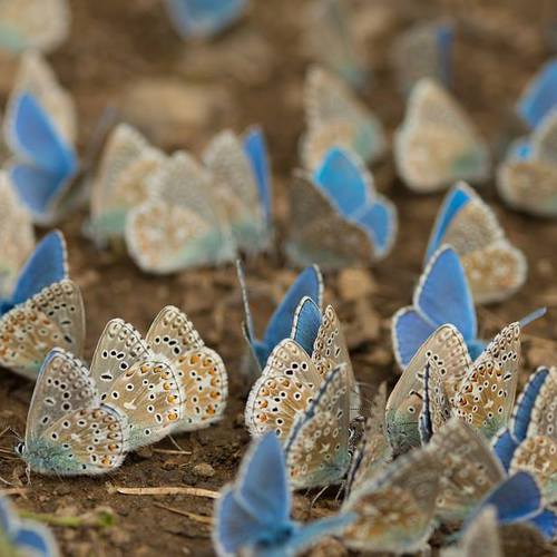 Image showing the beauty in the creation of God.