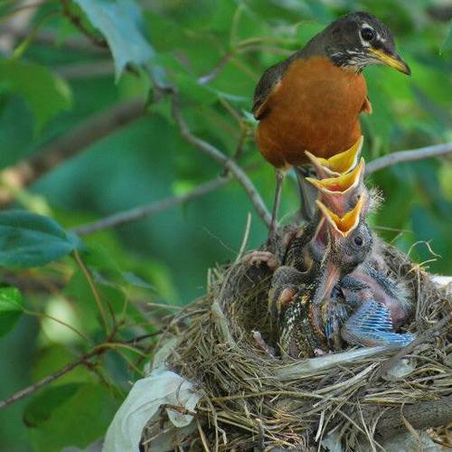 Image showing the beauty in the creation of God.