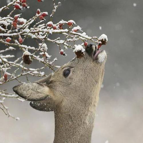 Image showing the beauty in the creation of God.