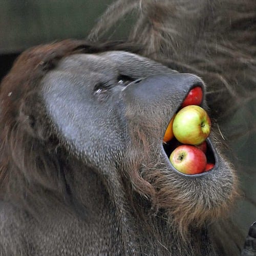 Image showing the beauty in the creation of God.