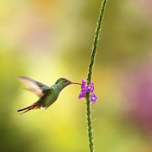 Image showing the beauty in the creation of God.