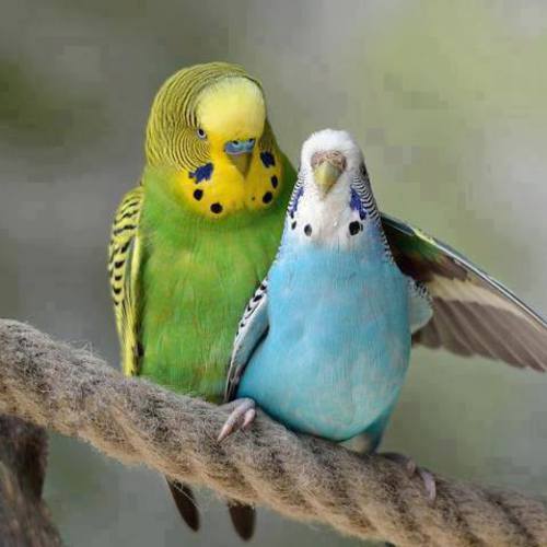 Image showing the beauty in the creation of God.