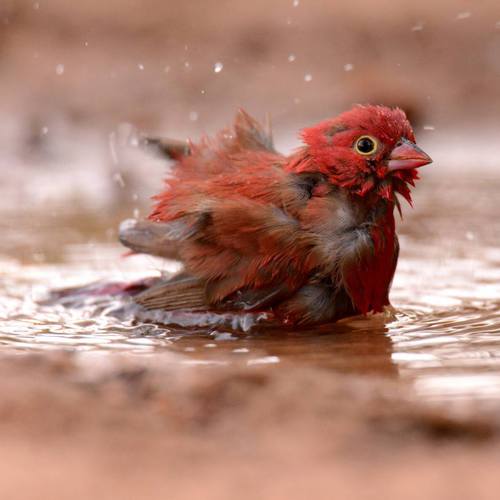 Image showing the beauty in the creation of God.