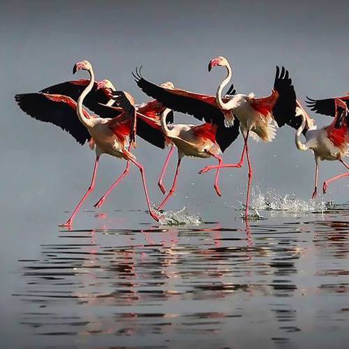 Image showing the beauty in the creation of God.