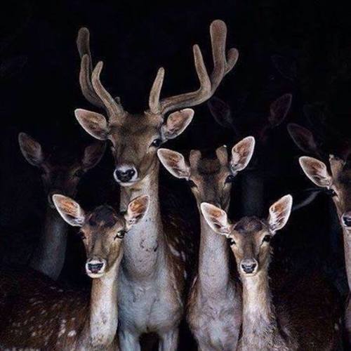 Image showing the beauty in the creation of God.